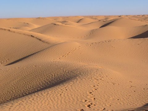 Dunes of the Grand Erg near Ksar Ghilane